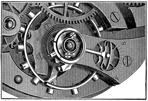 Watch balance cock and regulator