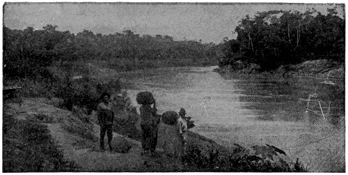 River in Brazil