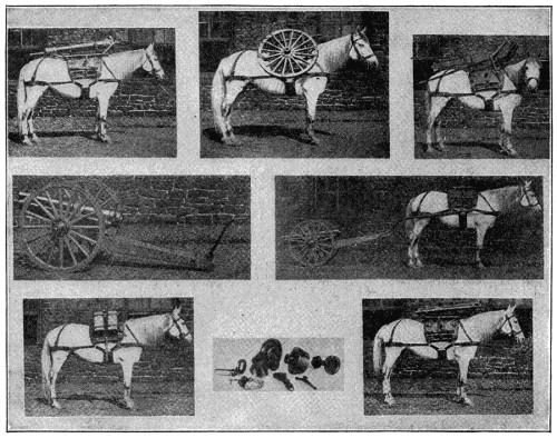 Mountain gun disassembled for transport