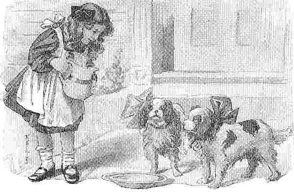 Girl With Dogs