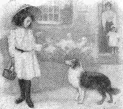 Girl With Dog