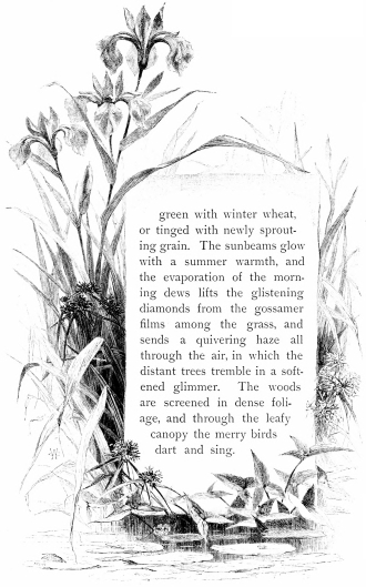 green with winter wheat, or tinged with newly sprouting grain. The sunbeams glow with a summer warmth, and the evaporation of the morning dews lifts the glistening diamonds from the gossamer films among the grass, and sends a quivering haze all through the air, in which the distant trees tremble in a softened glimmer. The woods are screened in dense foliage, and through the leafy canopy the merry birds dart and sing.