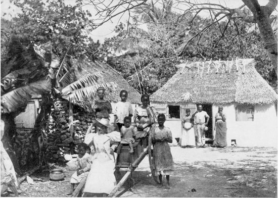 A NATIVE HUT. FROM A PHOTOGRAPH BY J. F. COONLEY, NASSAU, N. P.