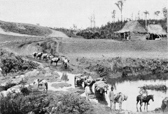 A CONVOY IN THE HILLS.