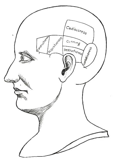 Fig. 3  THE MOTIVE QUALITIES