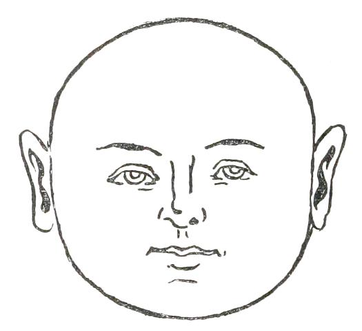 Fig. 12  ROUND FACE