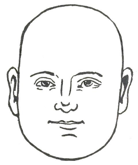 Fig. 13  OBLONG FACE