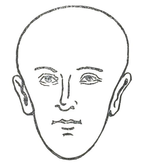 Fig. 14  PEAR-SHAPED FACE