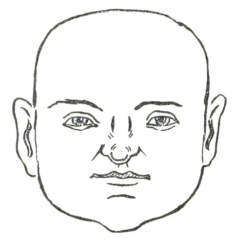 Fig. 15  SQUARE FACE