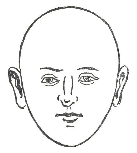 Fig. 16  EGG-SHAPED FACE