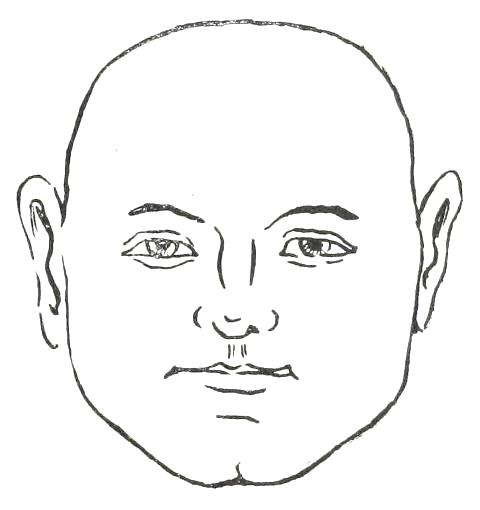 Fig. 18  BROAD FACE