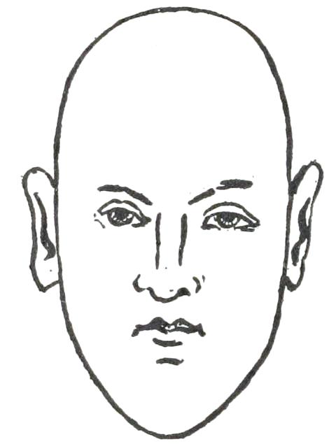 Fig. 19  NARROW FACE