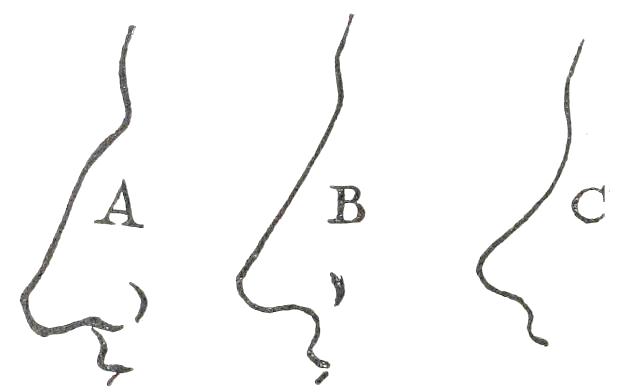 Fig. 21  A, ROMAN; B, GRECIAN; C, CHERUBIC