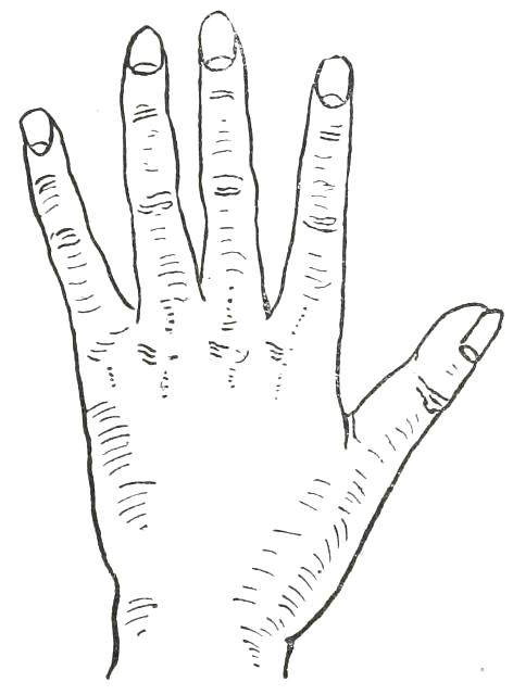 Fig. 25  ARTISTIC HAND