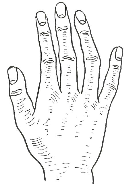 Fig. 27  PHILOSOPHIC HAND