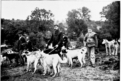 READY TO CAST OFF. THE PACK OF PODENCOS IN COUPLES.