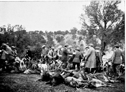 THE DAY’S RESULTS.  Royal Shooting at the Pardo, near Madrid.