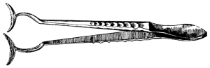 Treacher Collins’s Entropion Forceps