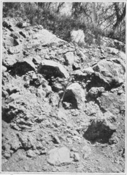 EXPOSURE OF BRECCIATED LIMESTONE IN MILWAUKEE CUT AT LINN JUNCTION