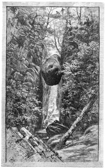 THE FLUME, FRANCONIA NOTCH.