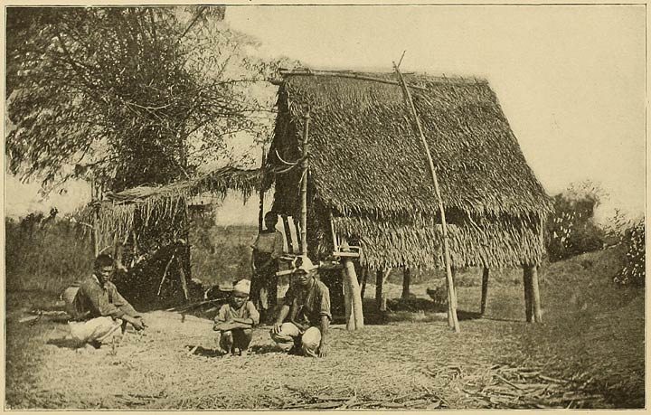 A Native Hut in the Interior.