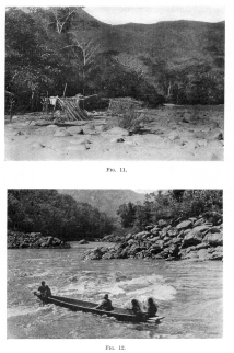 Fig. 11—A temporary shelter-hut on a sand-bar near the great bend of the Urubamba (see map, 8 ). The Machiganga Indians use these cane shelters during the fishing season, when the river is low.