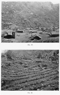 Fig. 39—Huichihua, near Chuquibambilla, a typical mountain village, in the valleys of the Central Ranges, Peruvian Andes.