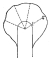 Fig. 196—Relation of cirque wall to trough’s end at the head of a glaciated valley. The ratio of the inner to the outer radius is 1:4.