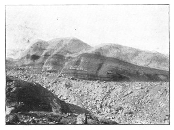 Fig. 31. A part of the edge of the Greenland glacier, with clean white ice above, and dark discolored bands below where laden with rock fragments. In the foreground is a boulder-strewn moraine.