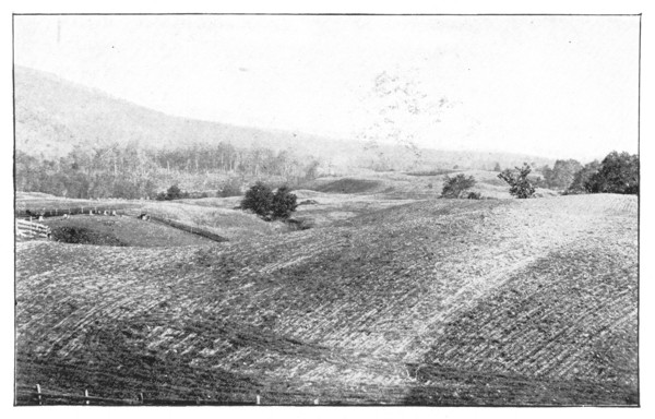 Fig. 33. A view over the hummocky surface of a part of the moraine of the great American ice sheet in Central New York.