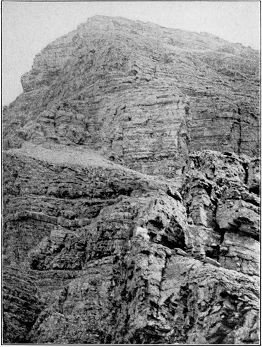 MOUNTAIN GOAT AND KID ON PTARMIGAN PASS (The white objects about two thirds of the way down)