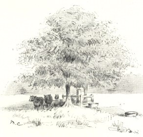 One of the Wells on the Site of the Prison.  From a photograph by the Rev. E. H. Brown, July 1910