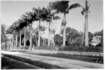 On the Way to the Savannah Port of Spain, Trinidad Copyright. 1901, by Detroit Photographic Co.