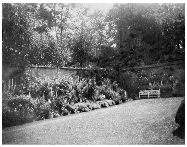 Corner of the Rose Garden, Bannow House