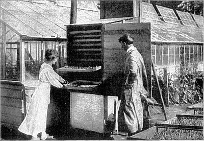 Drying Fruit and Vegetables