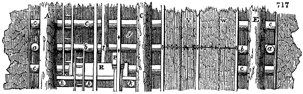 Section of mine shaft