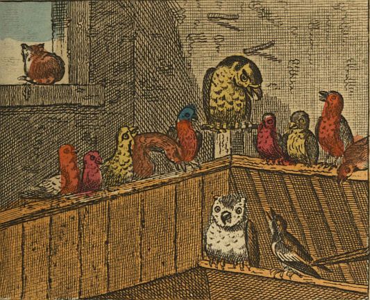 Judge speaking to jury of birds