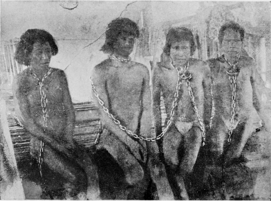 CHAINED INDIAN RUBBER GATHERERS IN THE STOCKS: ON THE PUTUMAYO RIVER.  [Frontispiece