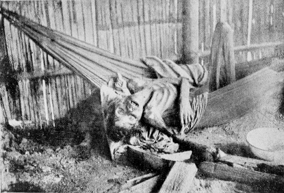 AN INCIDENT OF THE PUTUMAYO.  INDIAN WOMAN CONDEMNED TO DEATH BY HUNGER: ON THE UPPER PUTUMAYO.  (The Peruvians state that this was the work of Colombian bandits.)  Photo reproduced from “Variedades” of Lima, Peru.