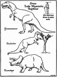 Some  Late Mesozoic  Reptiles