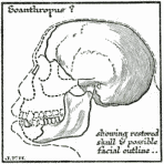 Diagram to Illustrate the Riddle of The Piltdown Sub-man.