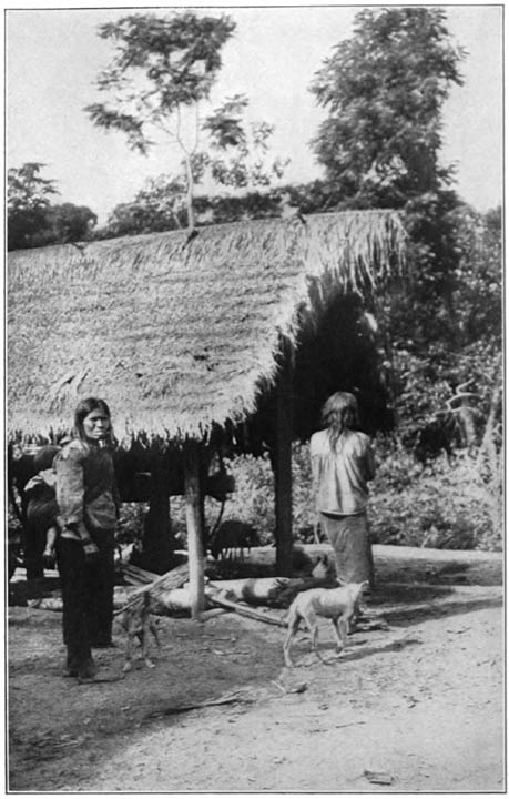 An Indian Home on the Orinoco.