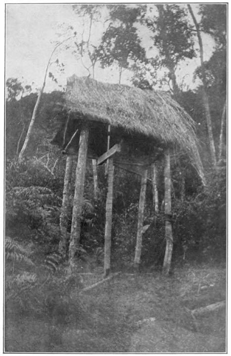 A Traveler’s Lodge in the Llanos of Colombia.