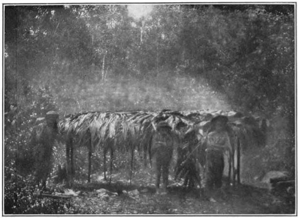 A Shelter on the Banks of the Ocoa.