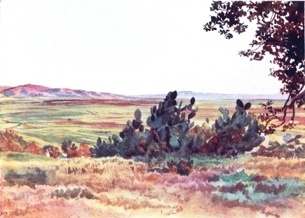 THE PLAIN OF ESDRAELON, FROM FOOT OF TABOR, WITH THE VILLAGE OF NAIM IN DISTANCE  Plain full of green wheat. Mountain to left is “Little Hermon,” on which the village of Naim stands. Towards sunset.