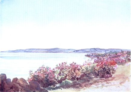 GALILEE, LOOKING FROM NEAR THE MOUTH OF THE JORDAN TOWARDS THE “MOUNT OF BEATITUDES” AND TABOR  Oleanders in flower skirting shore in foreground. Top of Mount Tabor showing over nearer mountains in distance.