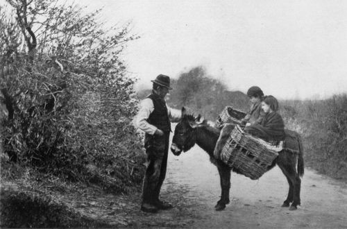 GOING TO THE BOG FOR TURF, BUNDORAN, COUNTY DONEGAL