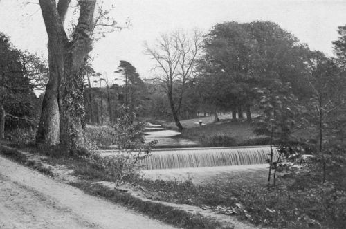 WATER-FALL IN THE MARQUIS OF SLIGO'S DEMESNE, WESTPORT, COUNTY MAYO