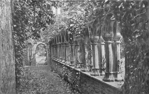 THE CLOISTERS, ADARE ABBEY, COUNTY LIMERICK