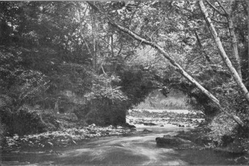 CARNISK BRIDGE AND SALMON-LEAP (IN LOW WATER), NEAR RAMELTON, COUNTY DONEGAL